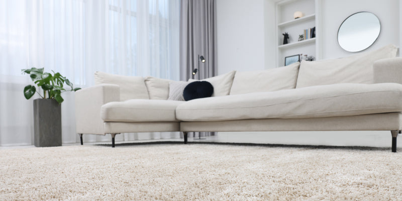 room scene of a living room with white carpets