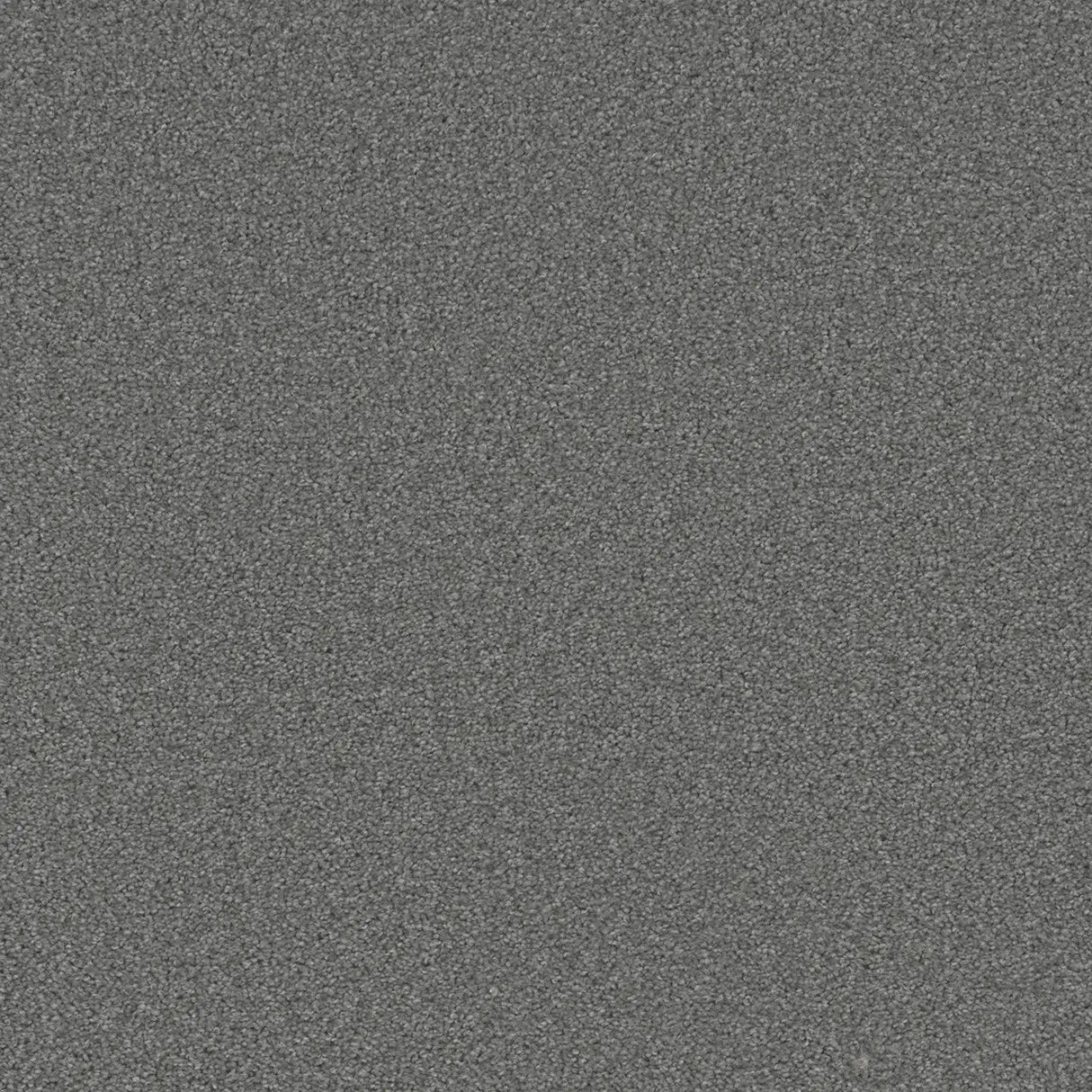 Grizzly 24oz Cut Pile Carpet Flooring