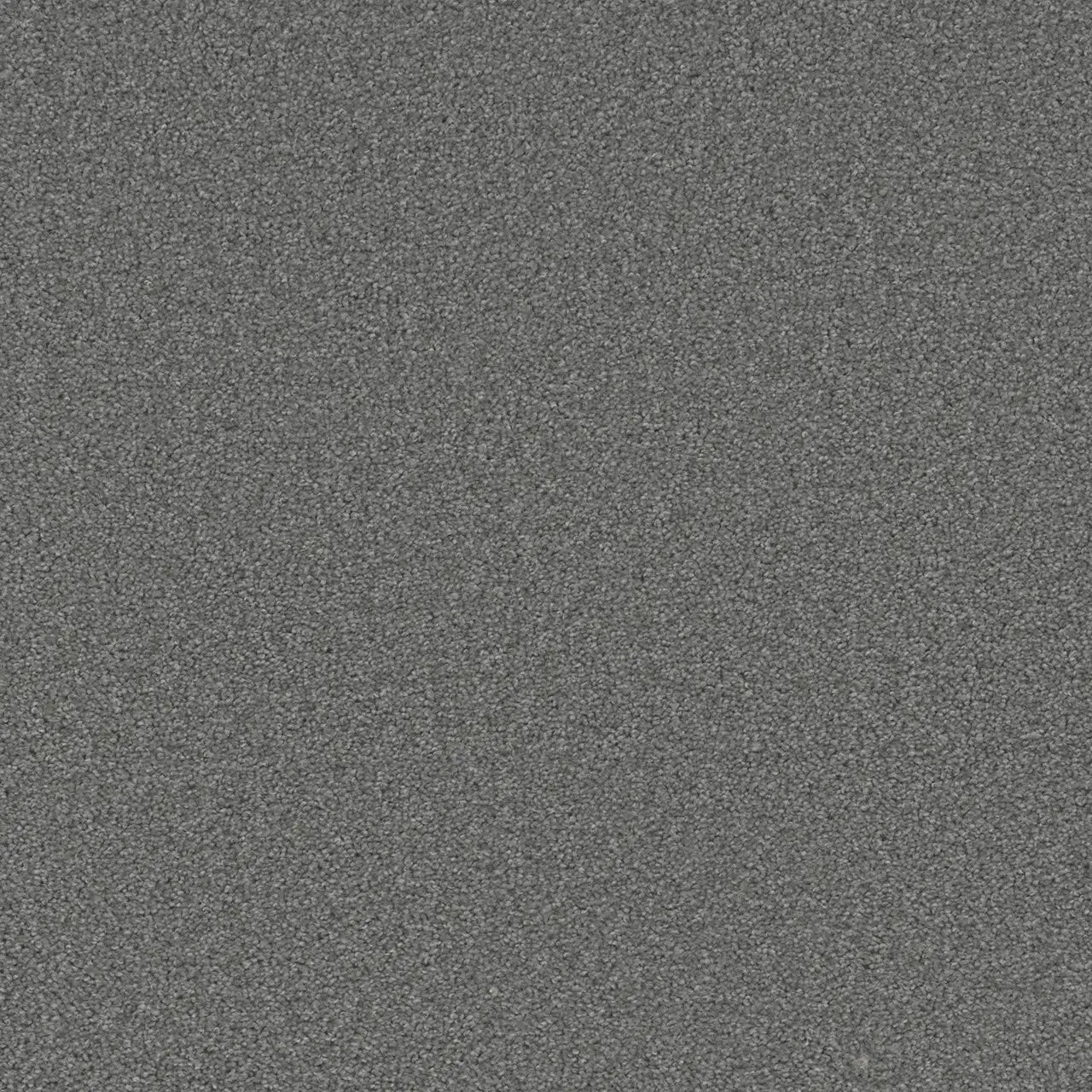 Moquette à poils coupés Grizzly 24 oz