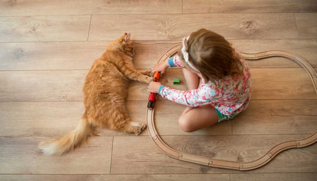 Child and cat on a luxury vinyl floor