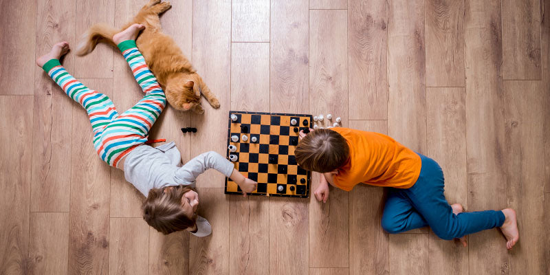 two kids and a cat playing chess on the floor