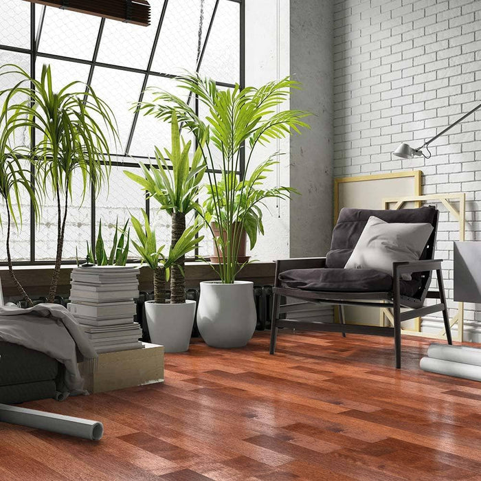 Hardwood - Canadian Birch Collection 5