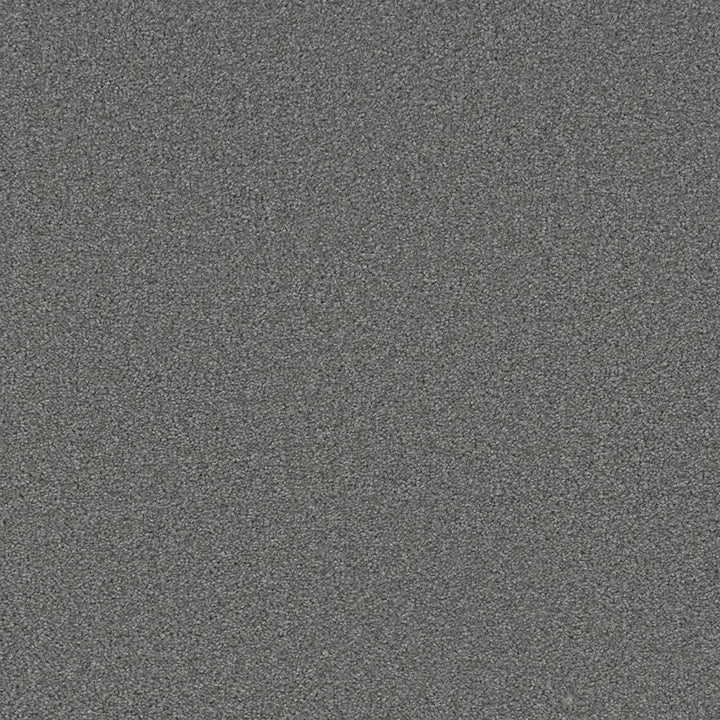 Grizzly 24oz Cut Pile Carpet Flooring — Bear Claw