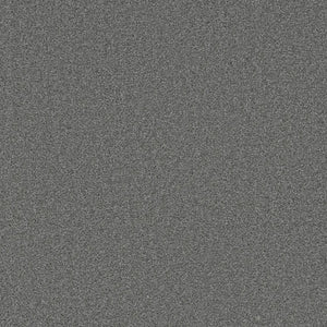 Grizzly 24oz Cut Pile Carpet Flooring