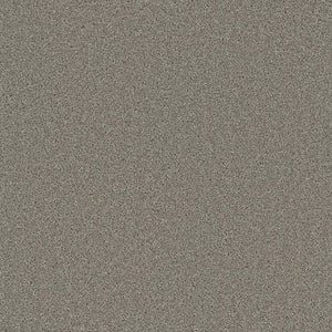 Grizzly 24oz Cut Pile Carpet Flooring