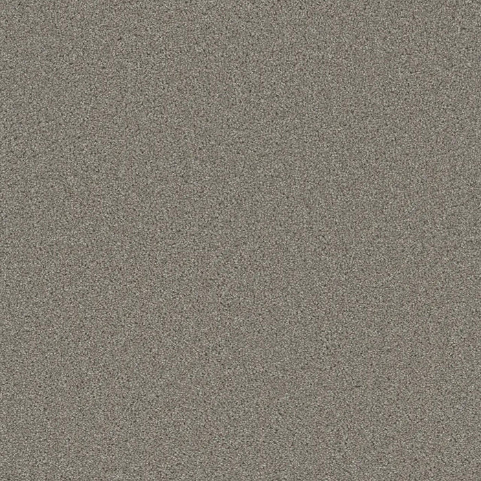 Grizzly 24oz Cut Pile Carpet Flooring 1