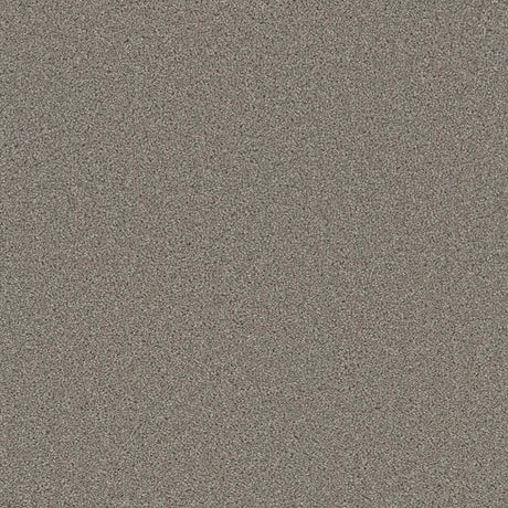 Grizzly 24oz Cut Pile Carpet Flooring