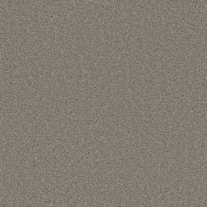 Grizzly 24oz Cut Pile Carpet Flooring — Forest