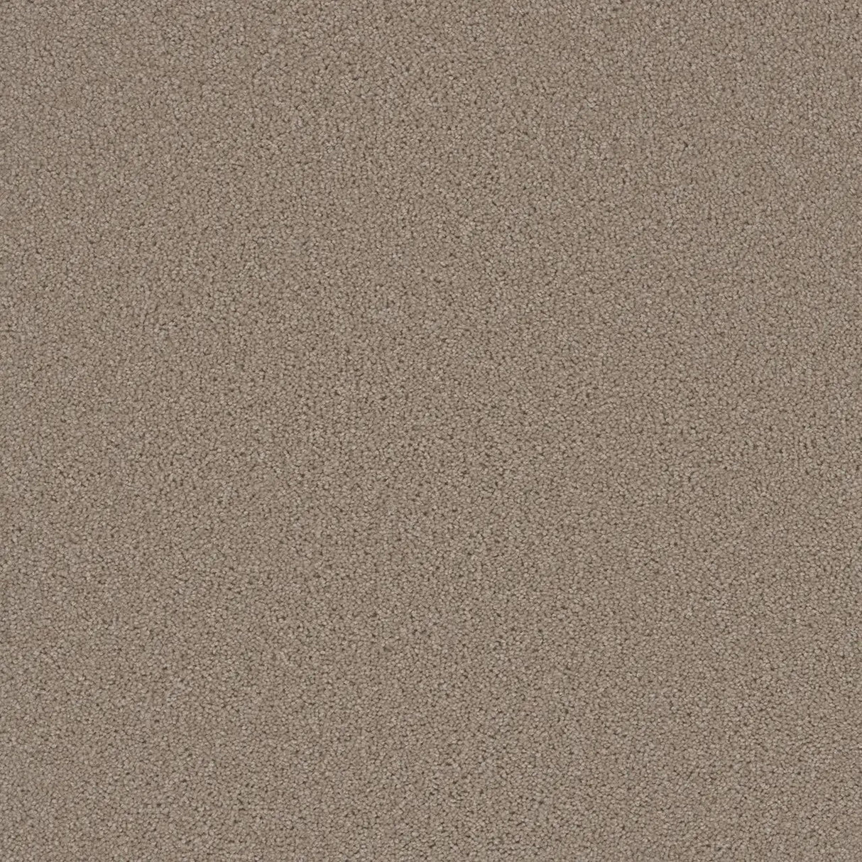 Grizzly 24oz Cut Pile Carpet Flooring