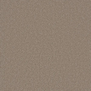 Grizzly 24oz Cut Pile Carpet Flooring