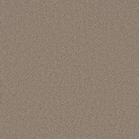 Grizzly 24oz Cut Pile Carpet Flooring