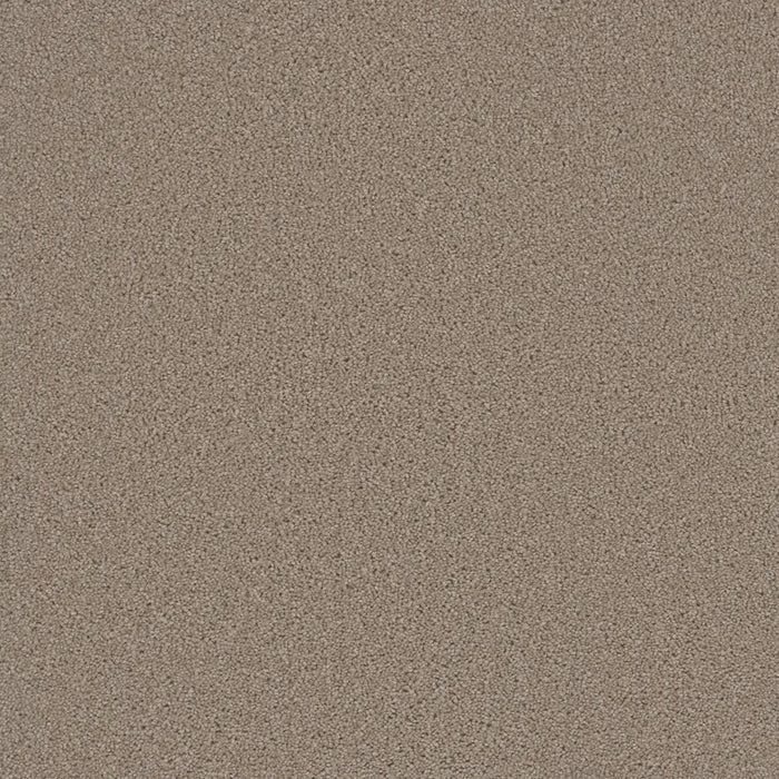 Grizzly 24oz Cut Pile Carpet Flooring 1