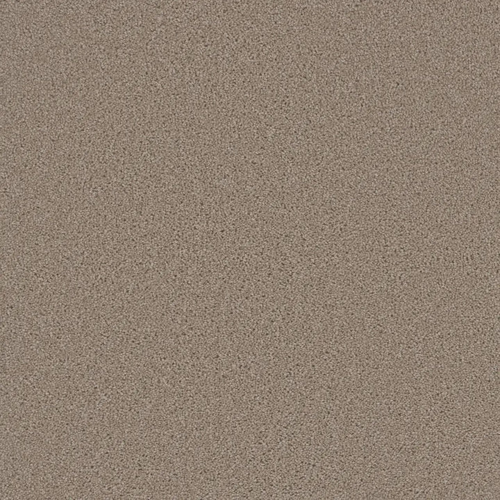 Grizzly 24oz Cut Pile Carpet Flooring — Hearth