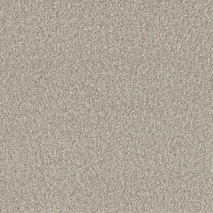 Grizzly 24oz Cut Pile Carpet Flooring