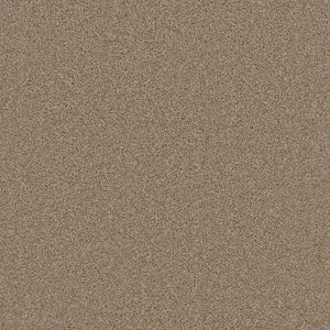 Grizzly 24oz Cut Pile Carpet Flooring