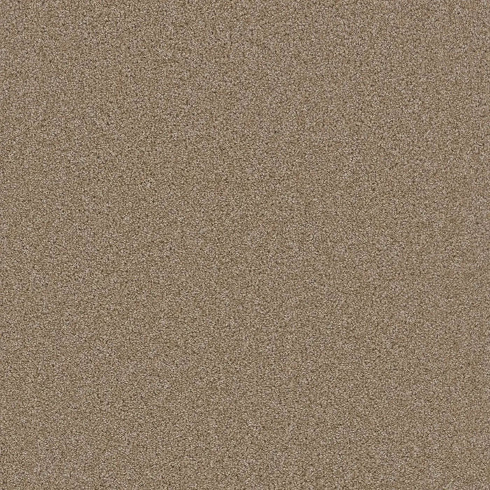 Grizzly 24oz Cut Pile Carpet Flooring 1