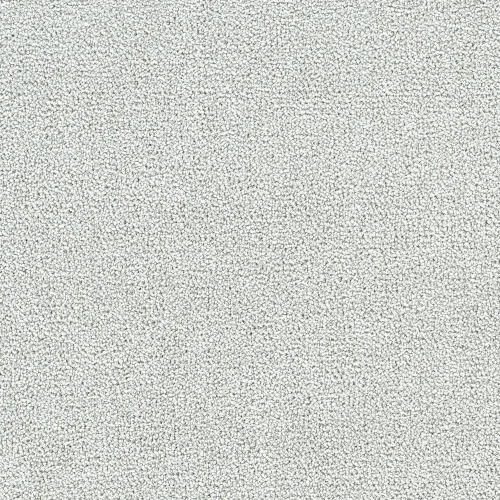 Polar 40oz Cut Pile Carpet Flooring