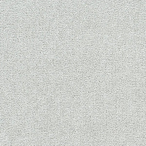 Polar 40oz Cut Pile Carpet Flooring