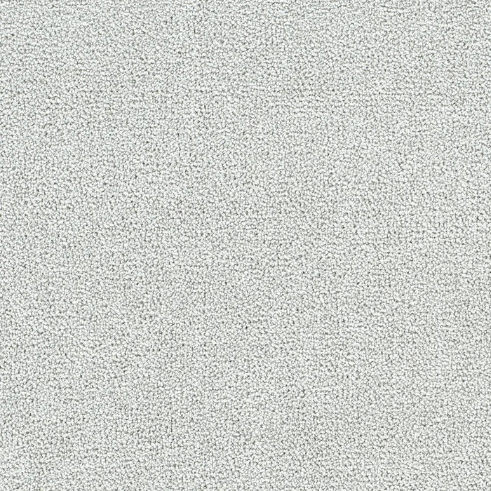 Polar 40oz Cut Pile Carpet Flooring 1