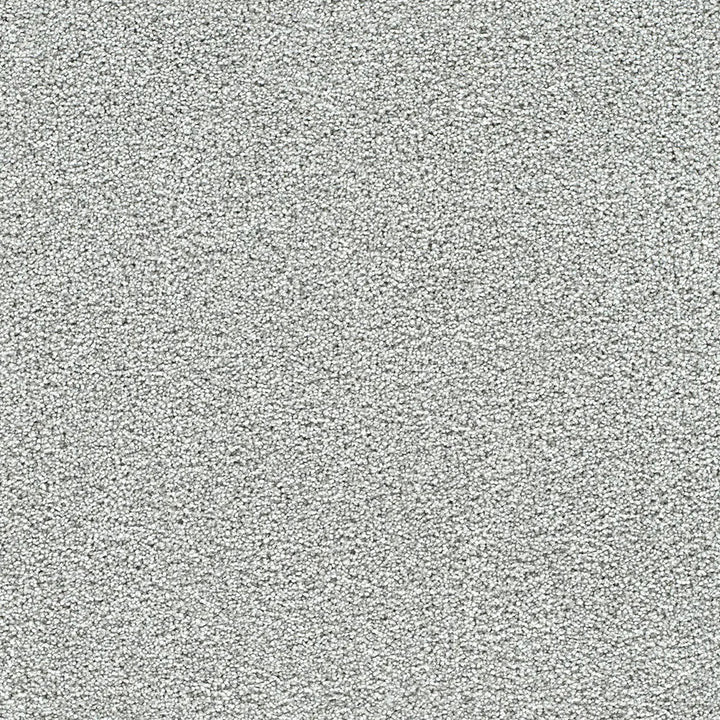 Polar 40oz Cut Pile Carpet Flooring — Arctic