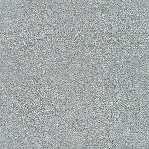 Polar 40oz Cut Pile Carpet Flooring