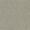 Polar 40oz Cut Pile Carpet Flooring