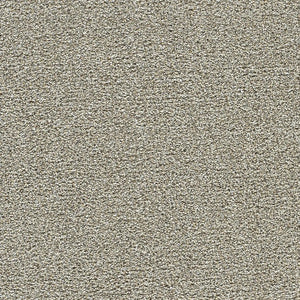 Polar 40oz Cut Pile Carpet Flooring
