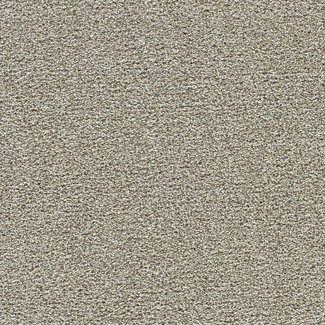Polar 40oz Cut Pile Carpet Flooring