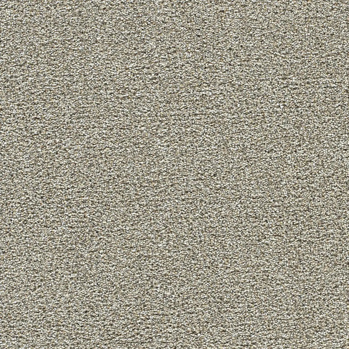 Polar 40oz Cut Pile Carpet Flooring — Glacier