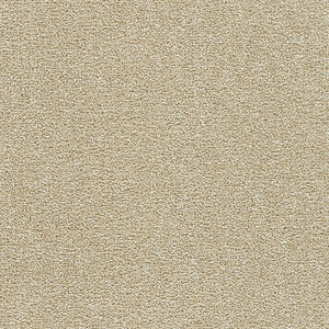 Polar 40oz Cut Pile Carpet Flooring
