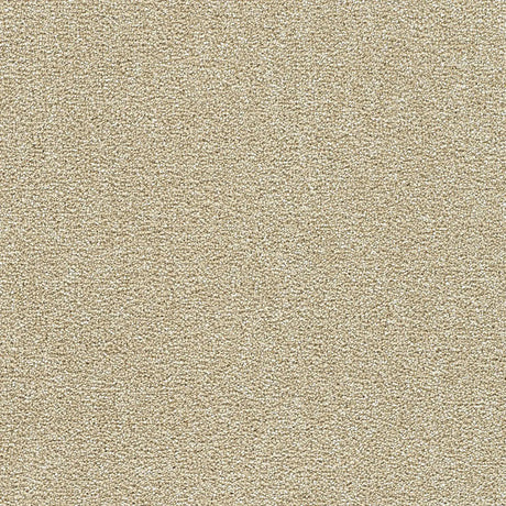 Polar 40oz Cut Pile Carpet Flooring