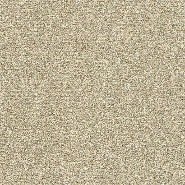 Polar 40oz Cut Pile Carpet Flooring 5