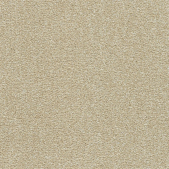 Polar 40oz Cut Pile Carpet Flooring — Ice