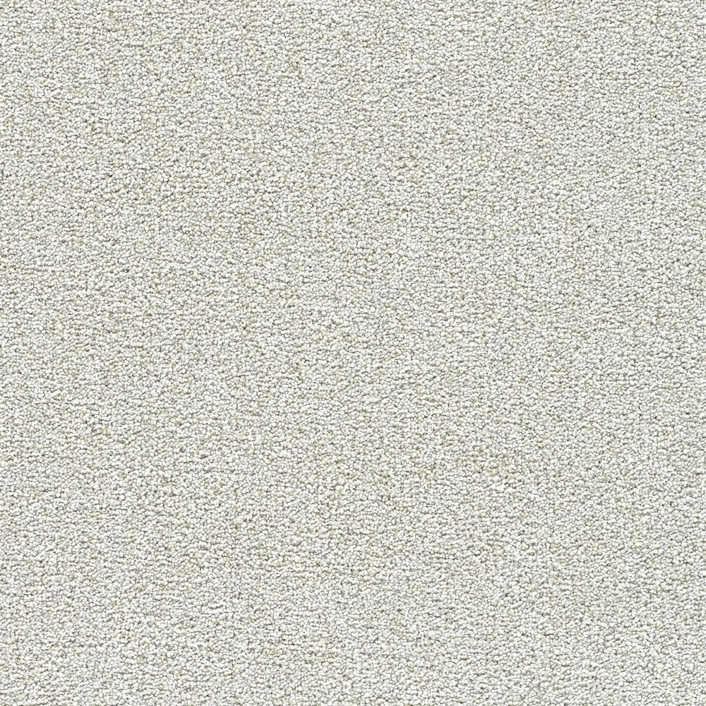 Polar 40oz Cut Pile Carpet Flooring