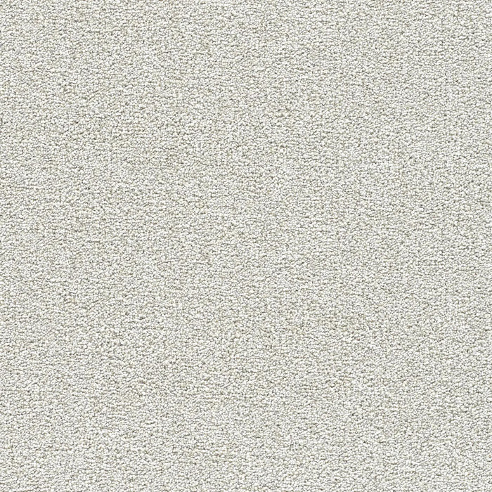 Polar 40oz Cut Pile Carpet Flooring 1
