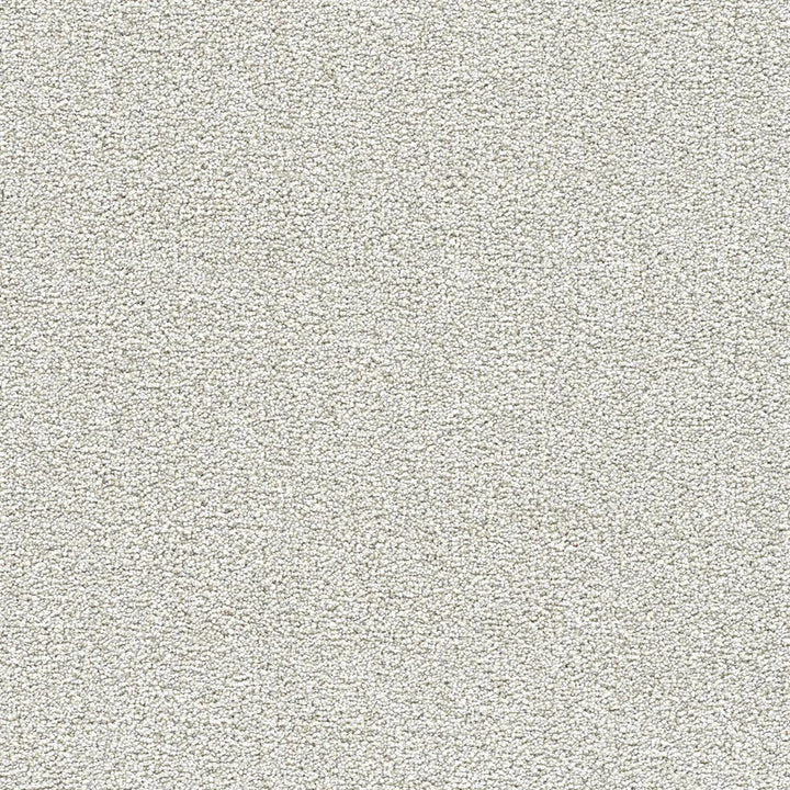 Polar 40oz Cut Pile Carpet Flooring — Snow